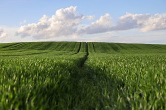 Bâches agricoles et citernes souples pour une agriculture durable et flexible