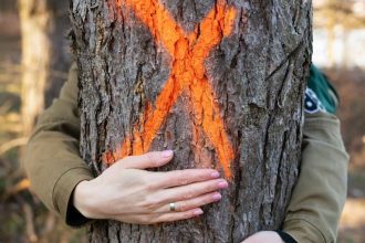 Jeune fille étreignant un arbre marqué de peinture orange